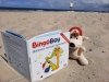 BINGO BOY discovers musical instruments